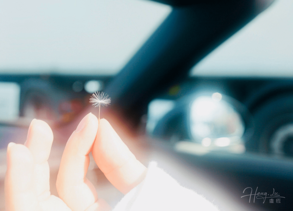 A-hand-holding-a-single-dandelion-fluff