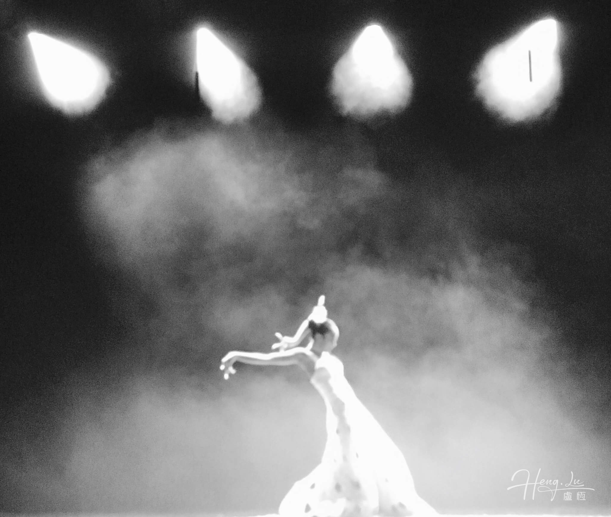 Shining in the Spotlight Peafowl in the fog