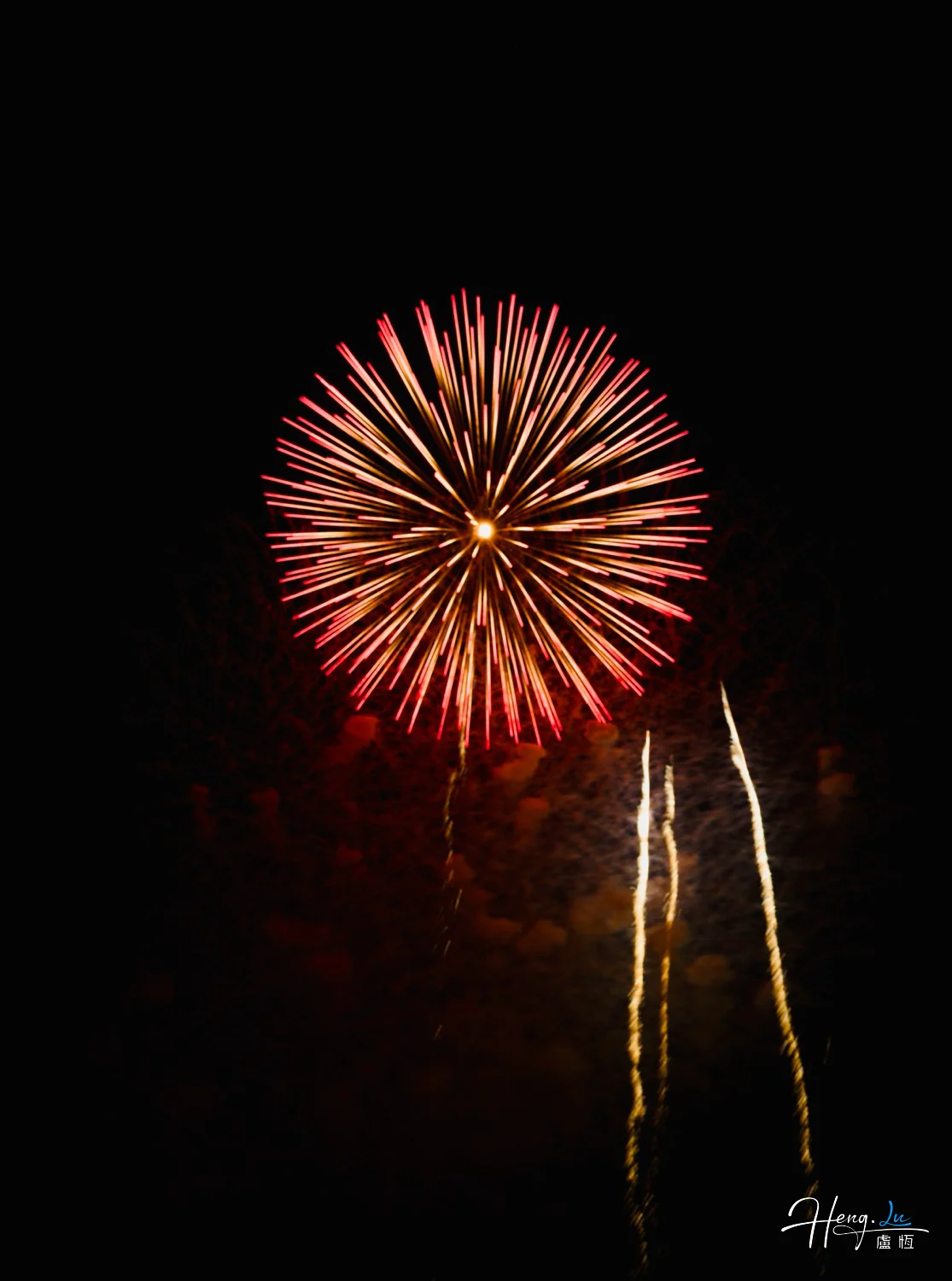 Fiery-red-firework-blooms-like-sunburst-against-midnight-sky