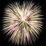 A flower made of fire Golden-firework-with-purple-sparks-illuminates-dark-night-sky