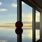Orange-on-reflective-table-with-Tokyo-sunset-view