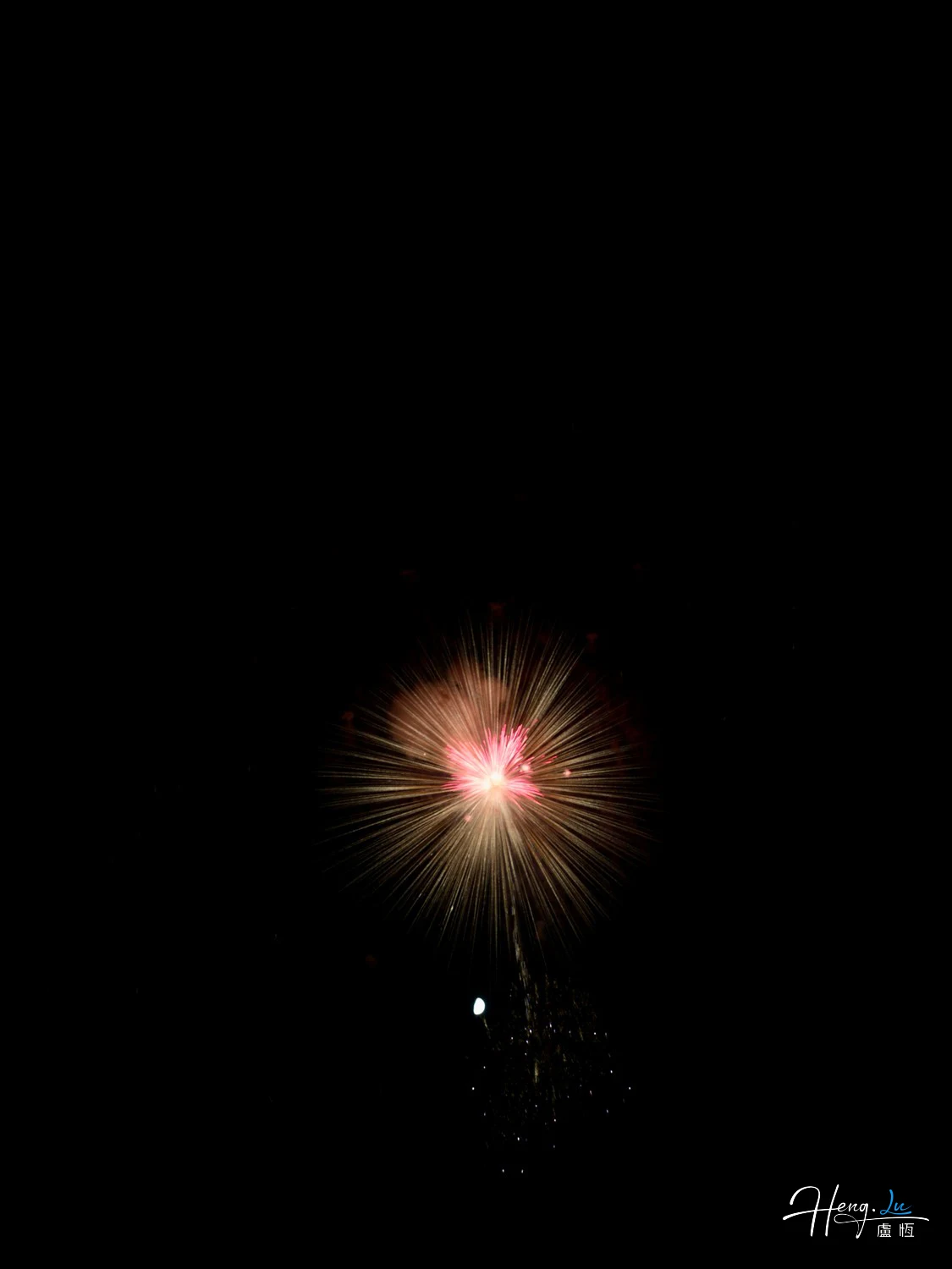 Soft-golden-firework-blooms-with-red-center-in-dark-sky