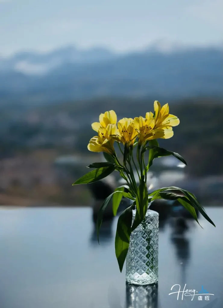 Yellow-flowers-in-glass-vase-with-mountain-backdrop