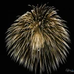 golden-firework-bursting-brightly-against-night-sky