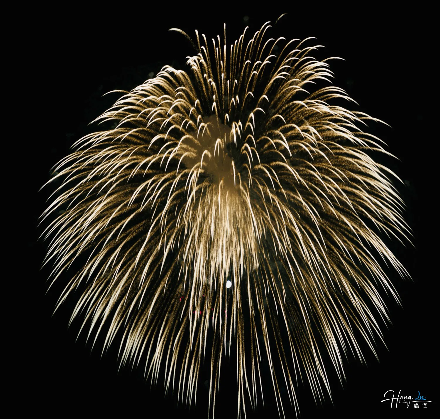 golden-firework-bursting-brightly-against-night-sky