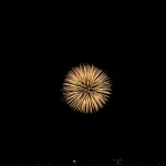 single-golden-firework-burst-against-night-sky