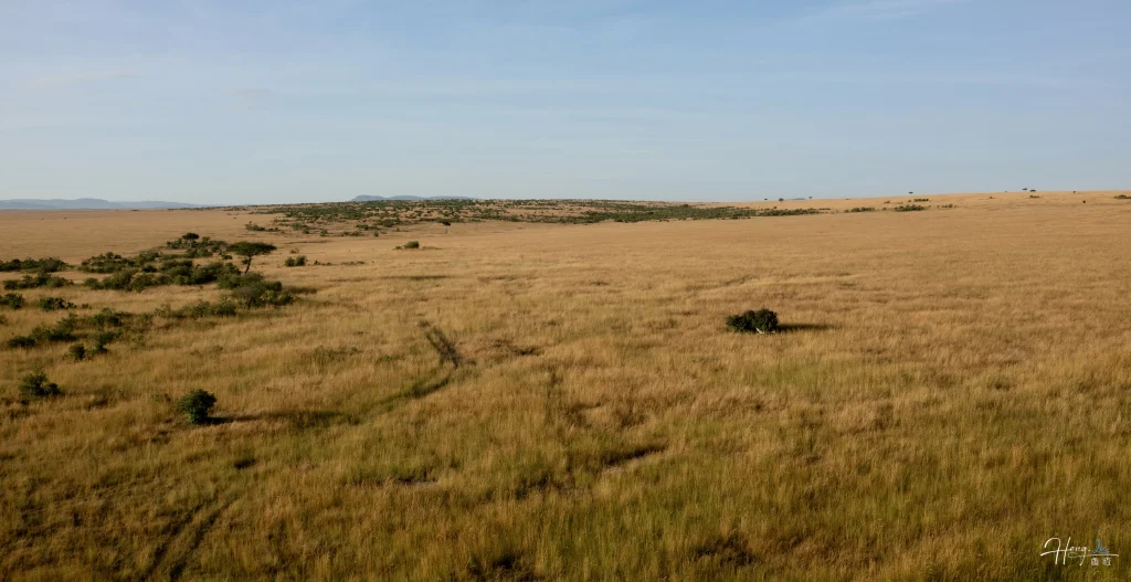 golden-savannah-under-clear-blue-sky