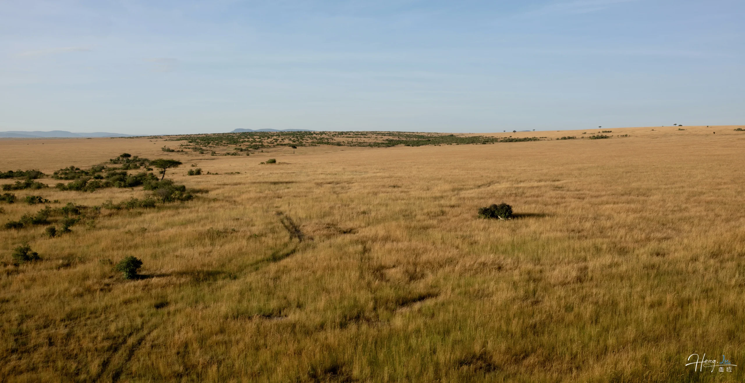 golden-savannah-under-clear-blue-sky