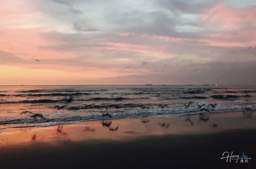 seagulls-flying-over-beach-at-sunset