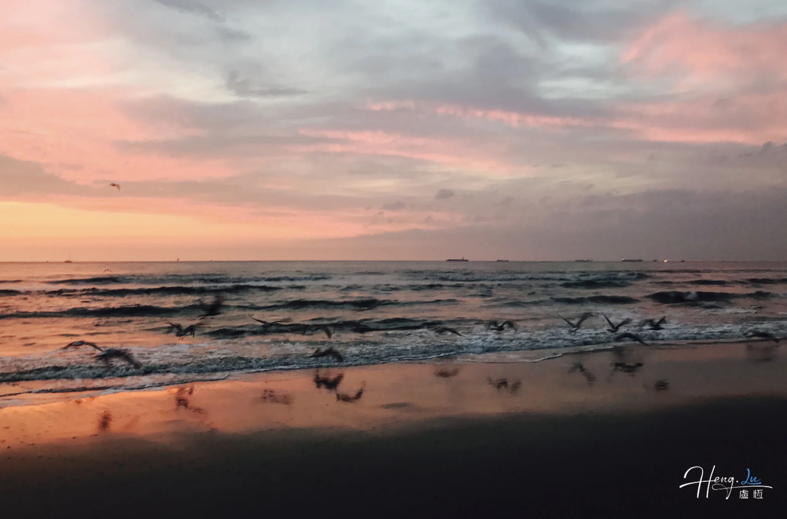 Seagulls flying over beach at sunset seagulls-flying-over-beach-at-sunset