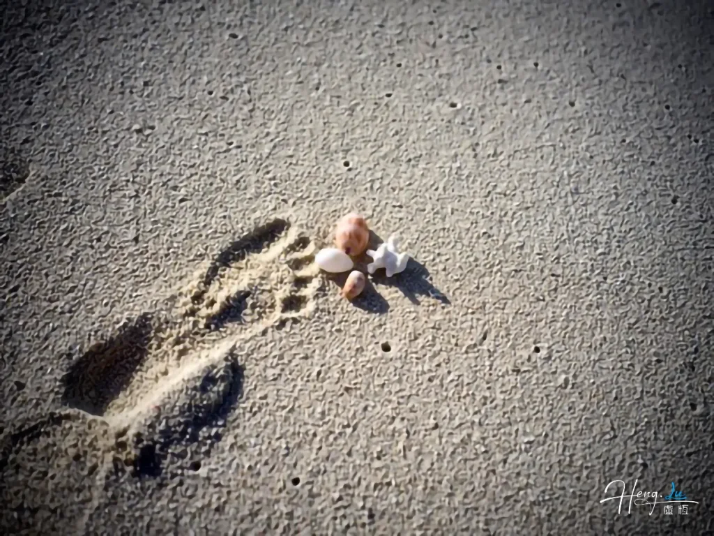 footprint-and-shells