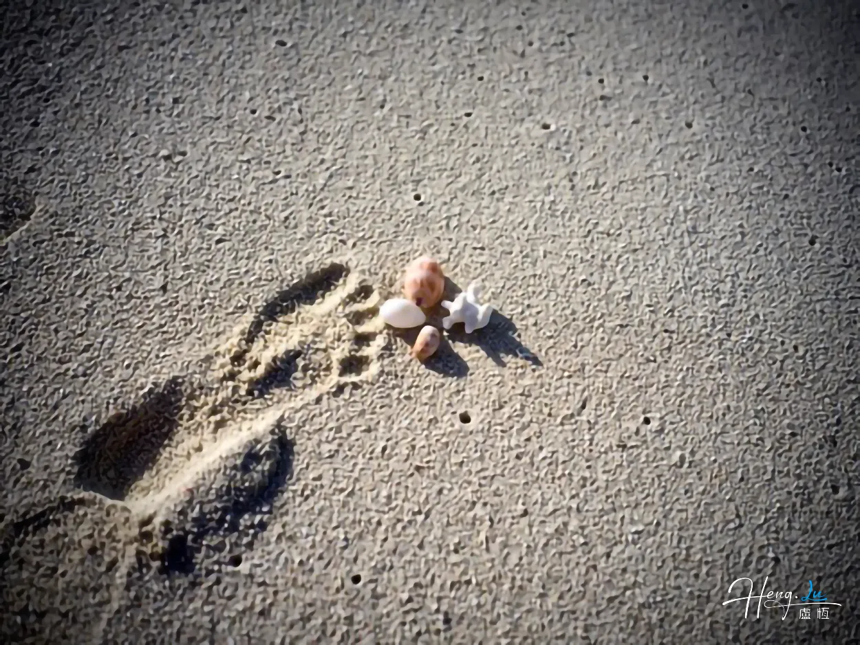 footprint-and-shells