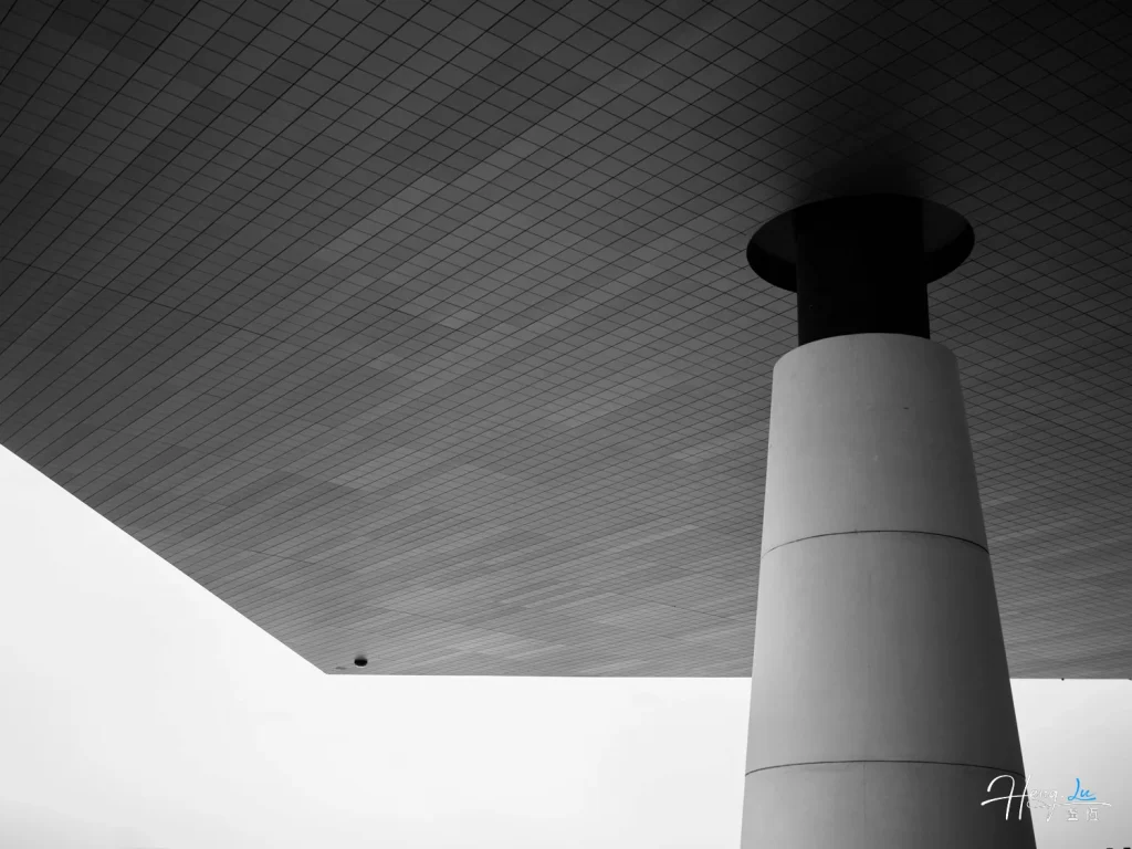 minimalist-black-and-white-architecture-column-and-tiled-ceiling