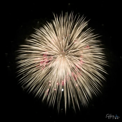 pale-golden-firework-with-hints-of-red-sparks
